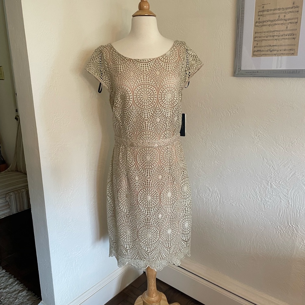 Laundry dress